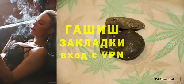 прущие грибы Белокуриха