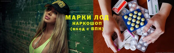прущие грибы Белокуриха