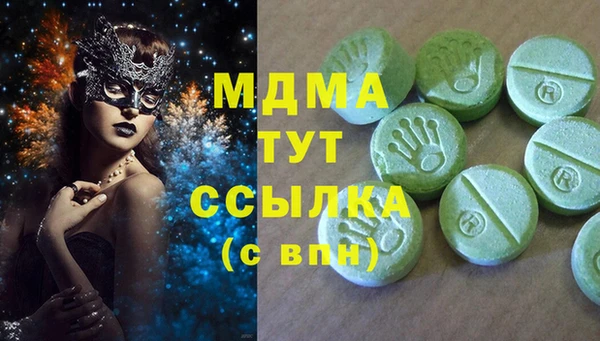 прущие грибы Белокуриха