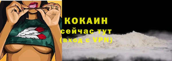 ECSTASY Богданович