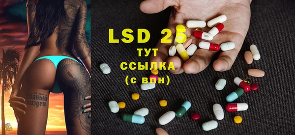 ECSTASY Богданович