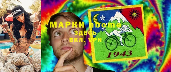 PSILOCYBIN Заводоуковск