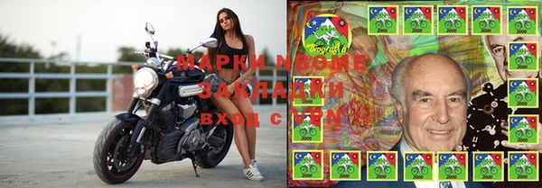 прущие грибы Белокуриха
