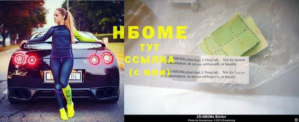 прущие грибы Белокуриха