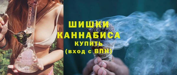 PSILOCYBIN Заводоуковск