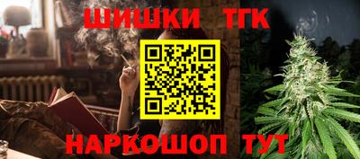 индика Будённовск