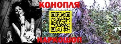 spice Будённовск