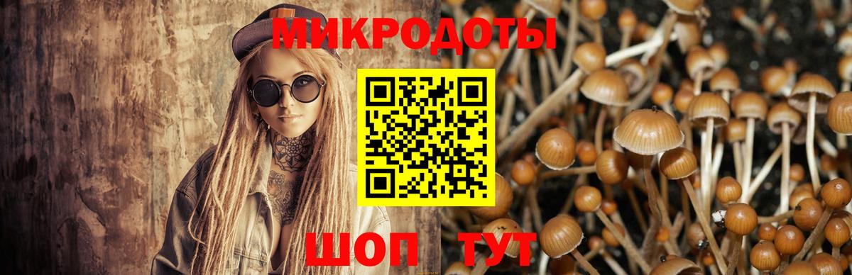 Псилоцибиновые грибы Magic Shrooms  Горно-Алтайск  Галлюциногенные грибы Psilocybe 